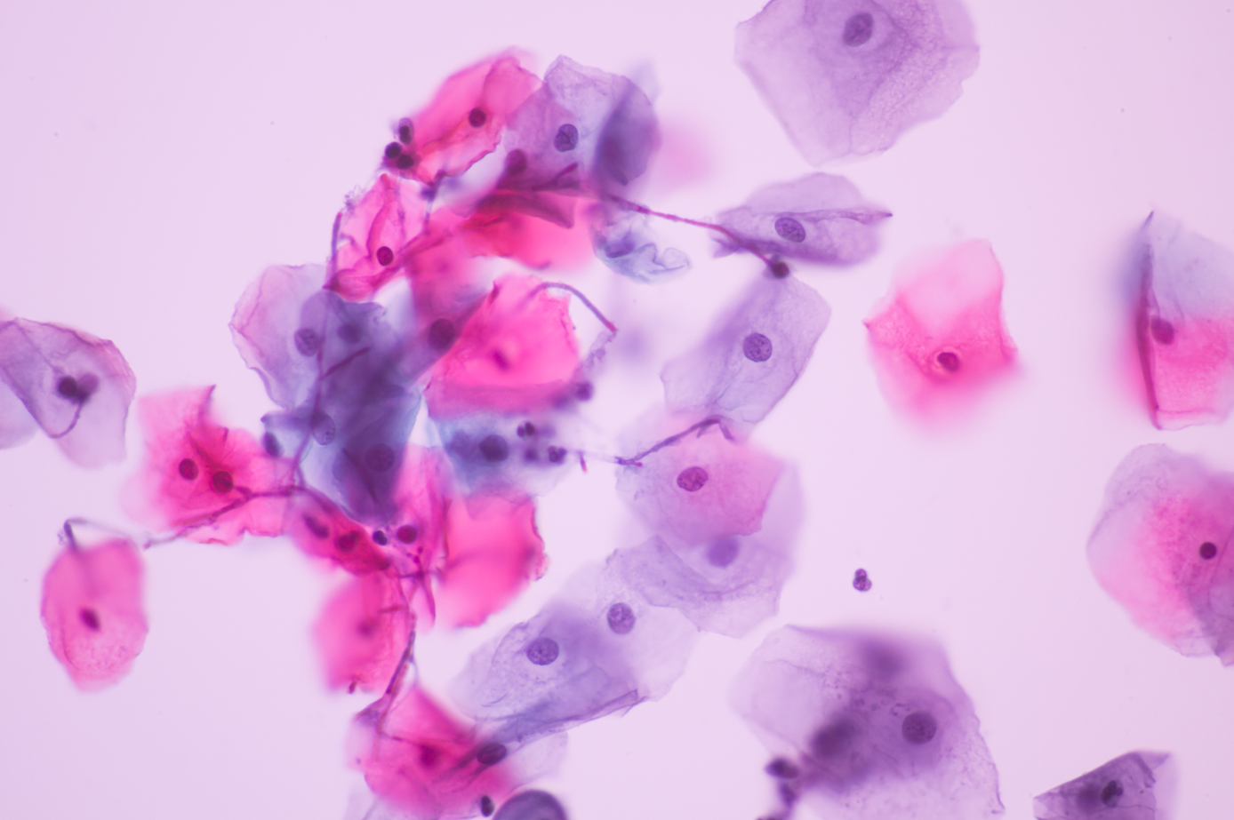Εndometrial-microbiome-visualization-fertility-health