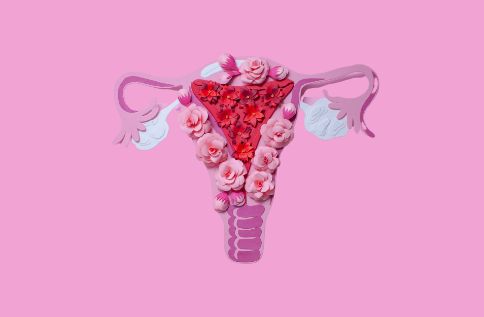 FERTILYSIS Female Microbiome Full