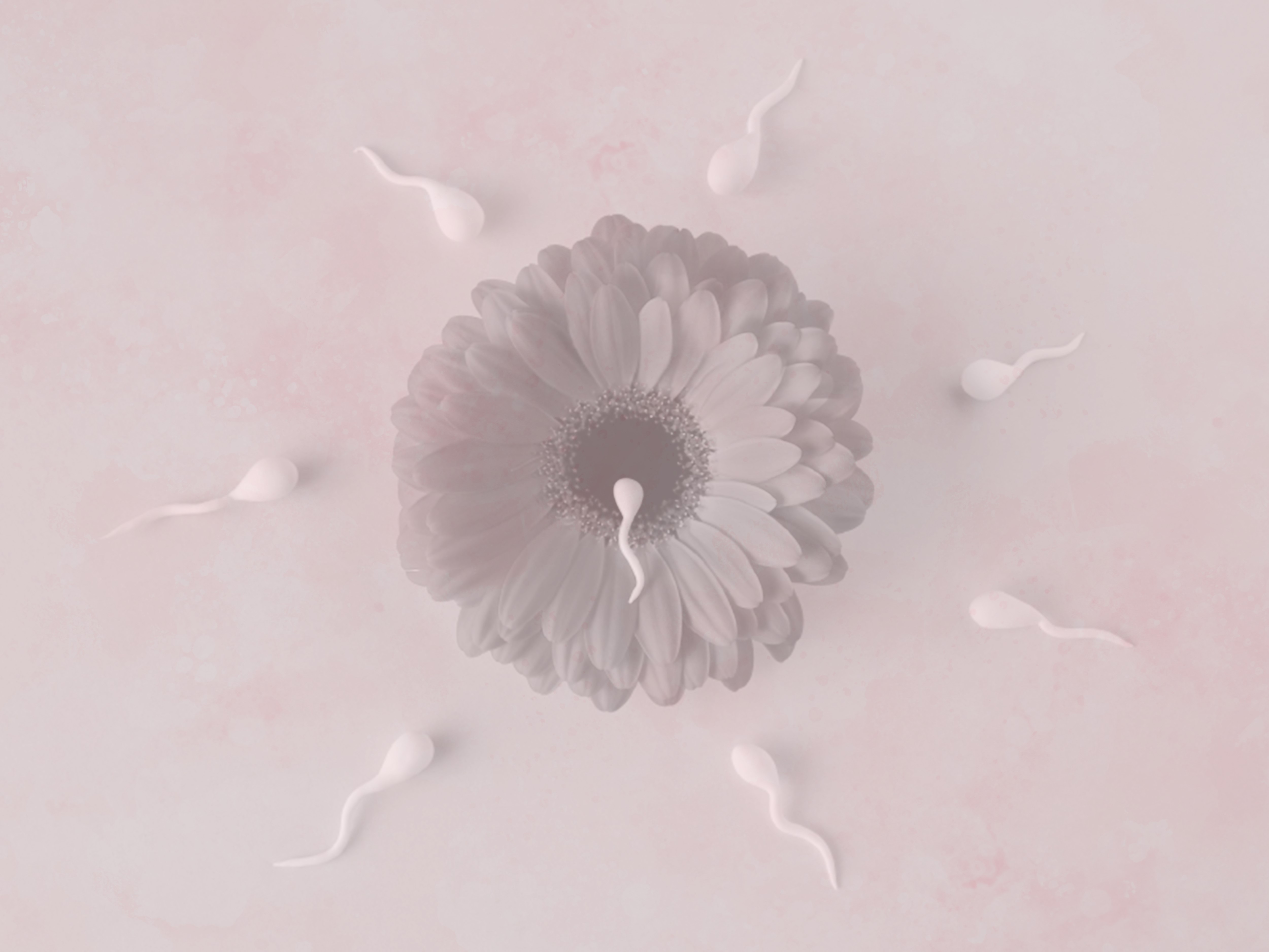 Let's talk <span style=color:#F4A8B7;>Reproductive Immunology</span>