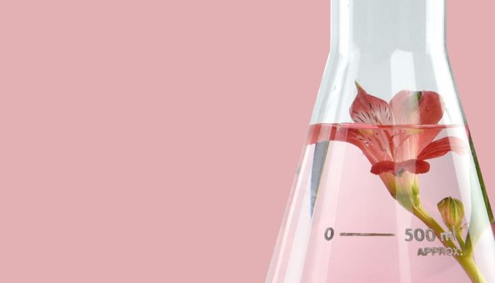 FERTILYSIS Vaginal Microbiome